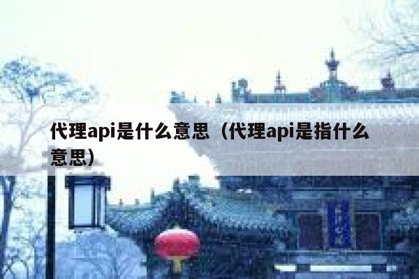 代理api是什么意思（代理api是指什么意思） 第1张