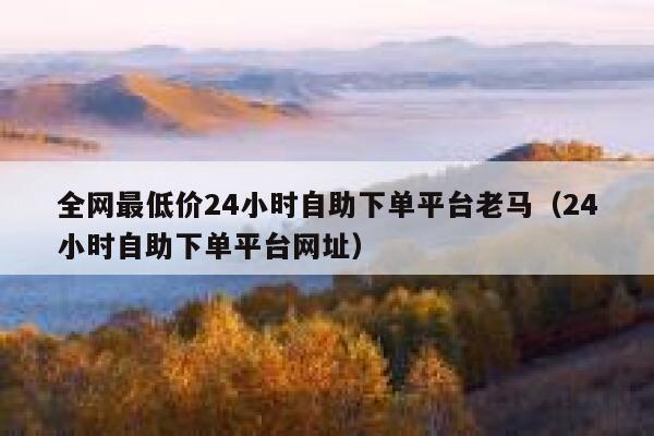 全网最低价24小时自助下单平台老马（24小时自助下单平台网址） 第1张