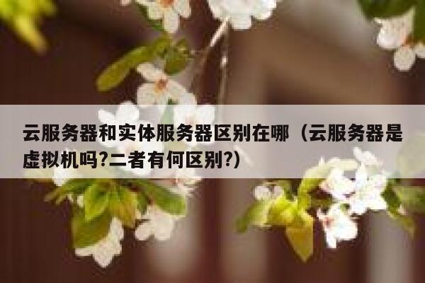 云服务器和实体服务器区别在哪（云服务器是虚拟机吗?二者有何区别?） 第1张