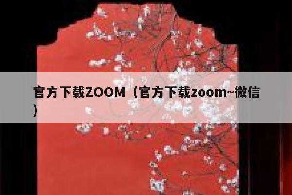 官方下载ZOOM（官方下载zoom~微信） 第1张
