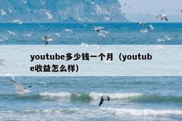 youtube多少钱一个月（youtube收益怎么样） 第1张