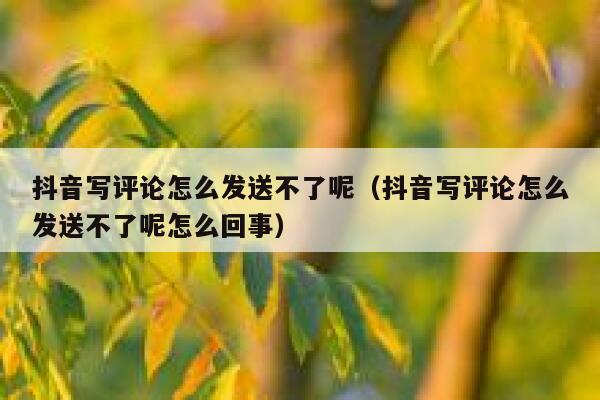 抖音写评论怎么发送不了呢（抖音写评论怎么发送不了呢怎么回事） 第1张