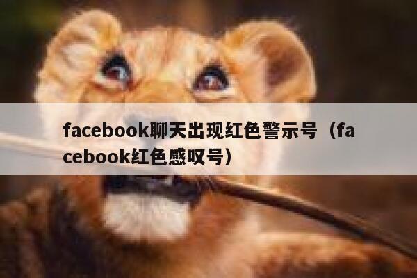 facebook聊天出现红色警示号（facebook红色感叹号） 第1张