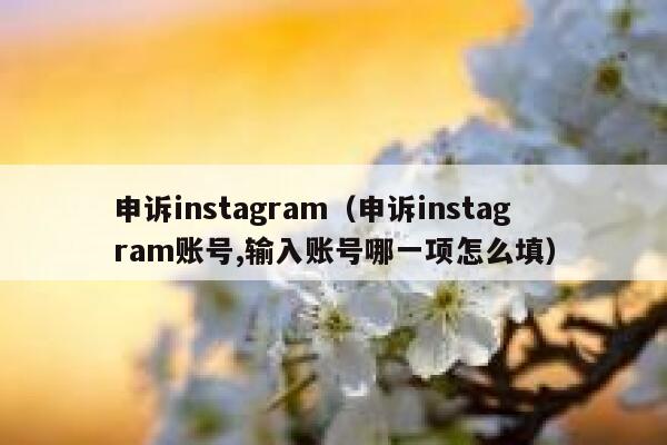 申诉instagram（申诉instagram账号,输入账号哪一项怎么填） 第1张