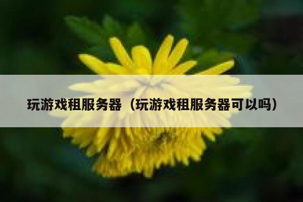 玩游戏租服务器（玩游戏租服务器可以吗） 第1张
