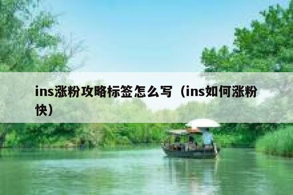 ins涨粉攻略标签怎么写（ins如何涨粉快） 第1张