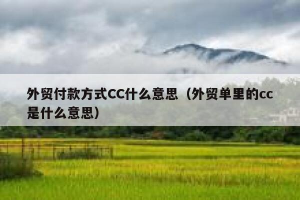 外贸付款方式CC什么意思（外贸单里的cc是什么意思） 第1张
