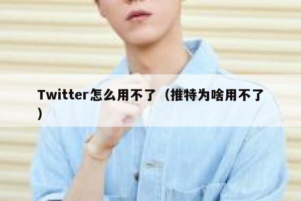 Twitter怎么用不了（推特为啥用不了） 第1张