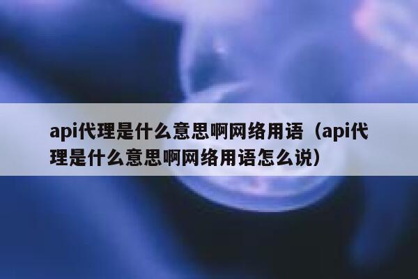 api代理是什么意思啊网络用语（api代理是什么意思啊网络用语怎么说） 第1张
