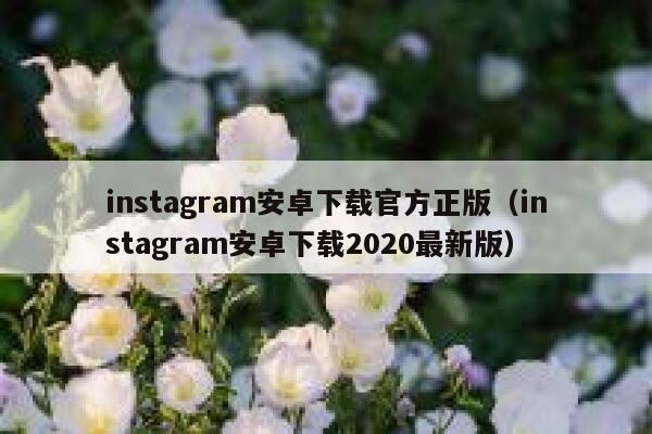 instagram安卓下载官方正版（instagram安卓下载2020最新版） 第1张