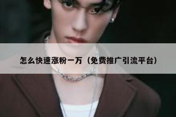 怎么快速涨粉一万（免费推广引流平台） 第1张