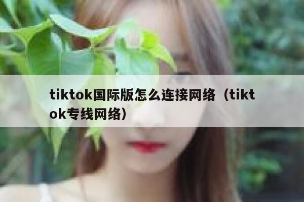tiktok国际版怎么连接网络（tiktok专线网络） 第1张