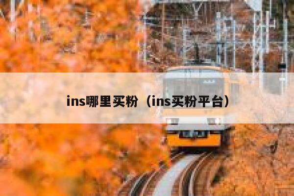ins哪里买粉（ins买粉平台） 第1张