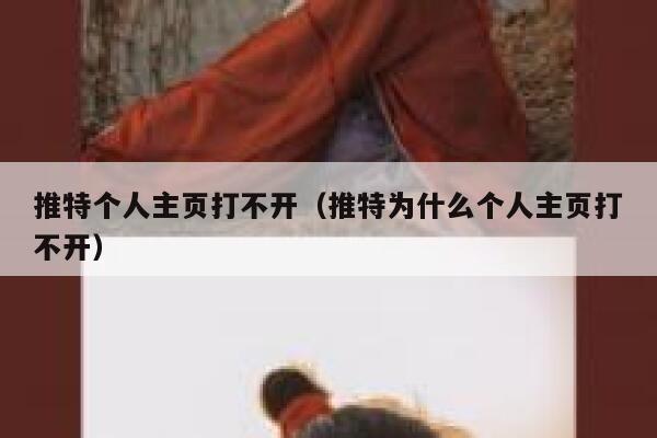 推特个人主页打不开（推特为什么个人主页打不开） 第1张