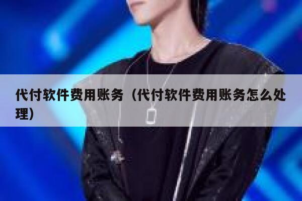代付软件费用账务（代付软件费用账务怎么处理） 第1张