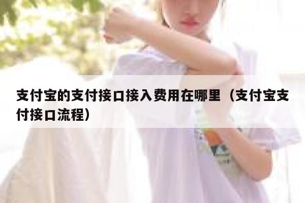 支付宝的支付接口接入费用在哪里（支付宝支付接口流程） 第1张