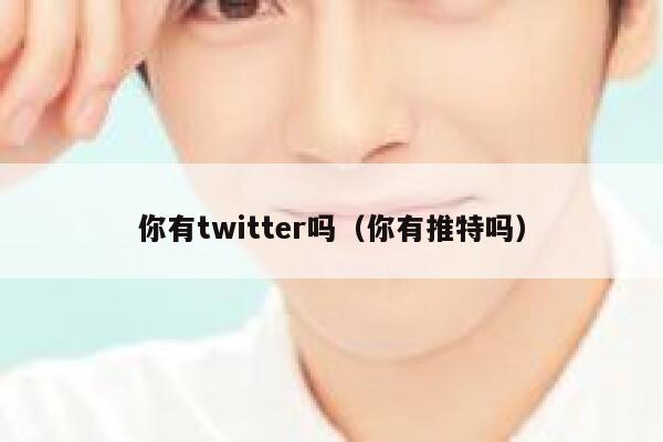你有twitter吗（你有推特吗） 第1张