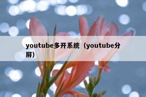 youtube多开系统（youtube分屏） 第1张
