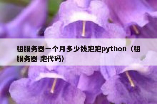 租服务器一个月多少钱跑跑python（租服务器 跑代码） 第1张