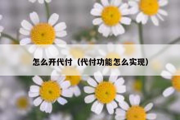 怎么开代付（代付功能怎么实现） 第1张