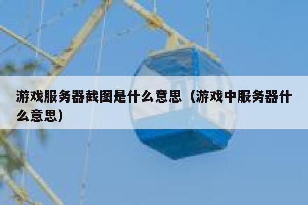 游戏服务器截图是什么意思（游戏中服务器什么意思） 第1张