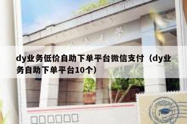 dy业务低价自助下单平台微信支付（dy业务自助下单平台10个） 第1张