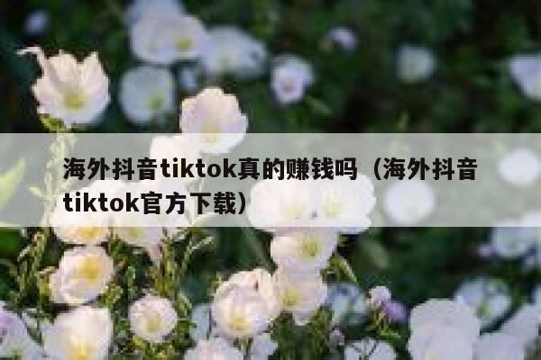 海外抖音tiktok真的赚钱吗（海外抖音tiktok官方下载） 第1张