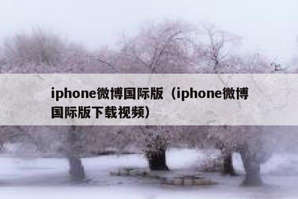 iphone微博国际版（iphone微博国际版下载视频） 第1张