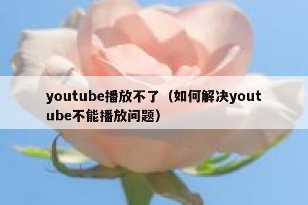 youtube播放不了（如何解决youtube不能播放问题） 第1张