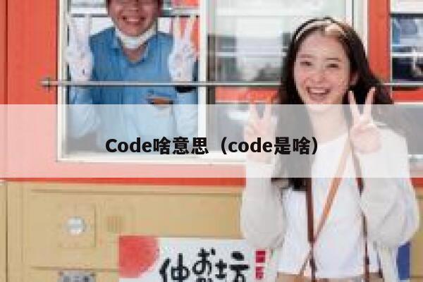 Code啥意思（code是啥） 第1张
