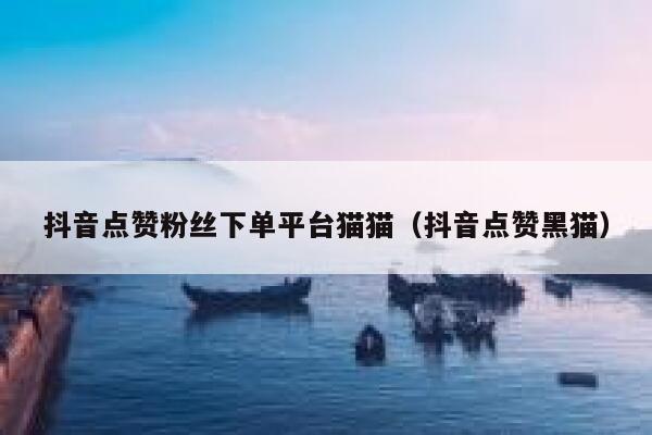抖音点赞粉丝下单平台猫猫（抖音点赞黑猫） 第1张