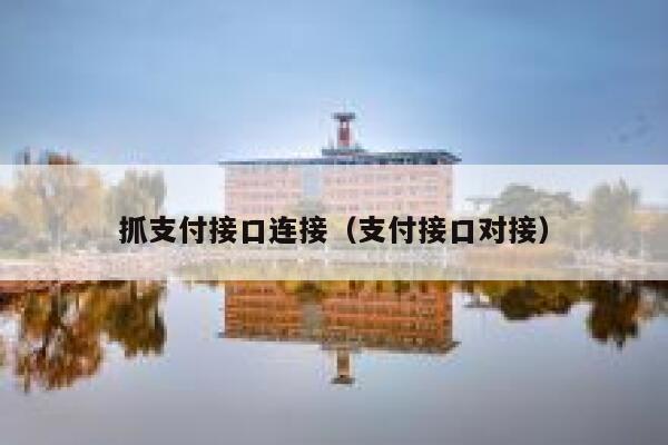 抓支付接口连接（支付接口对接） 第1张