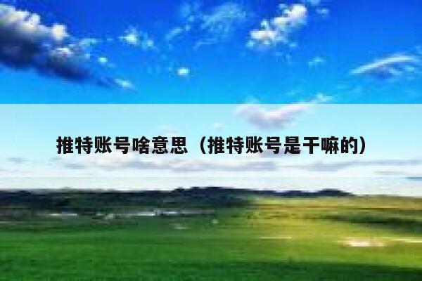 推特账号啥意思（推特账号是干嘛的） 第1张