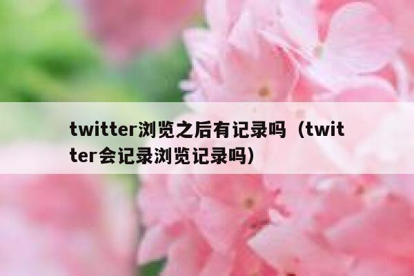 twitter浏览之后有记录吗（twitter会记录浏览记录吗） 第1张