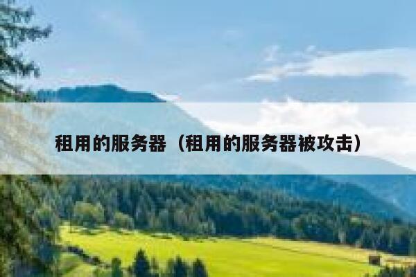 租用的服务器（租用的服务器被攻击） 第1张