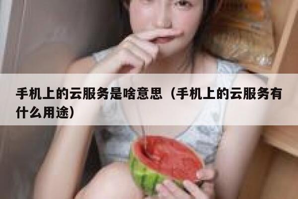 手机上的云服务是啥意思（手机上的云服务有什么用途） 第1张