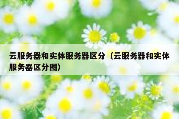 云服务器和实体服务器区分（云服务器和实体服务器区分图） 第1张