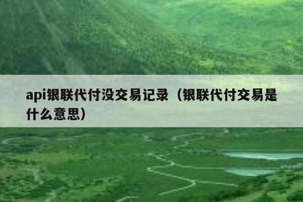 api银联代付没交易记录（银联代付交易是什么意思） 第1张