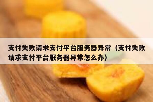 支付失败请求支付平台服务器异常（支付失败请求支付平台服务器异常怎么办） 第1张