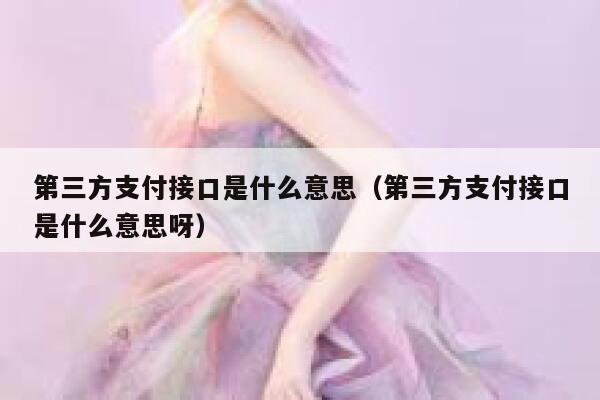 第三方支付接口是什么意思（第三方支付接口是什么意思呀） 第1张