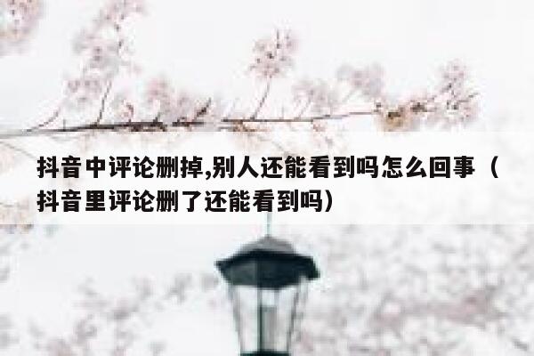 抖音中评论删掉,别人还能看到吗怎么回事（抖音里评论删了还能看到吗） 第1张
