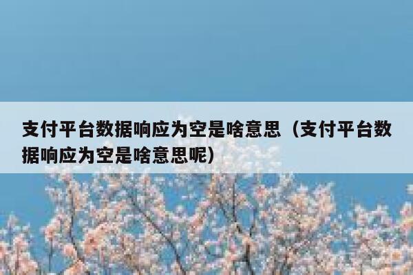 支付平台数据响应为空是啥意思（支付平台数据响应为空是啥意思呢） 第1张