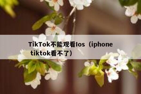 TikTok不能观看Ios（iphone tiktok看不了） 第1张