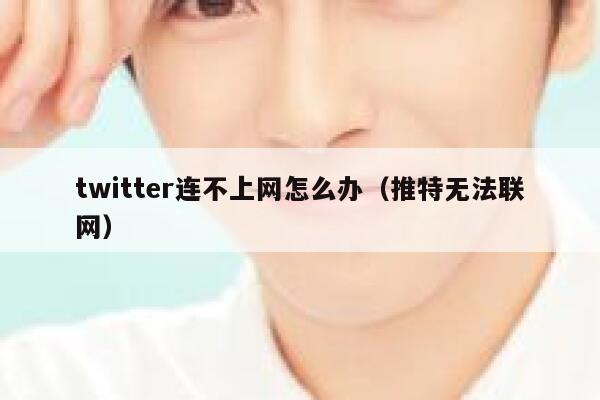 twitter连不上网怎么办（推特无法联网） 第1张