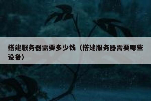 搭建服务器需要多少钱（搭建服务器需要哪些设备） 第1张