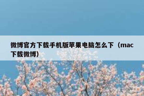 微博官方下载手机版苹果电脑怎么下（mac下载微博） 第1张