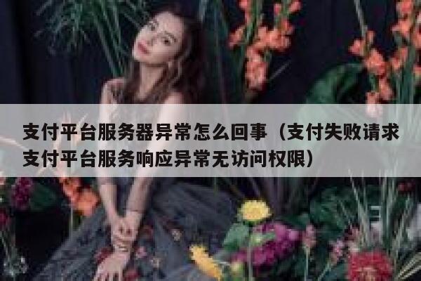 支付平台服务器异常怎么回事（支付失败请求支付平台服务响应异常无访问权限） 第1张