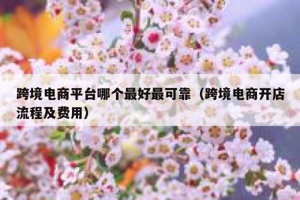 跨境电商平台哪个最好最可靠（跨境电商开店流程及费用） 第1张
