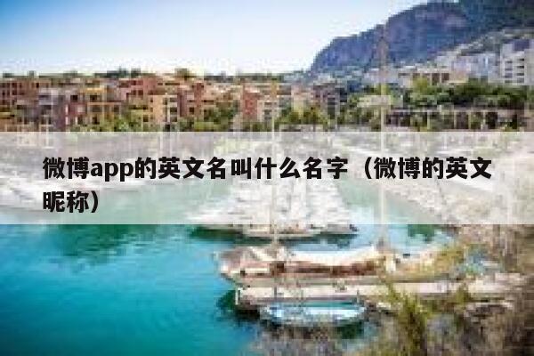微博app的英文名叫什么名字（微博的英文昵称） 第1张