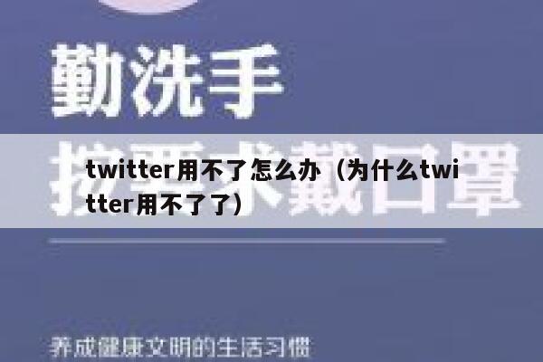 twitter用不了怎么办（为什么twitter用不了了） 第1张